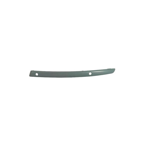 Moulure pare choc - moulure, avant