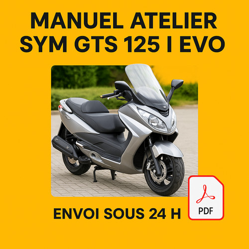Manuel atelier sym gts - manuel,