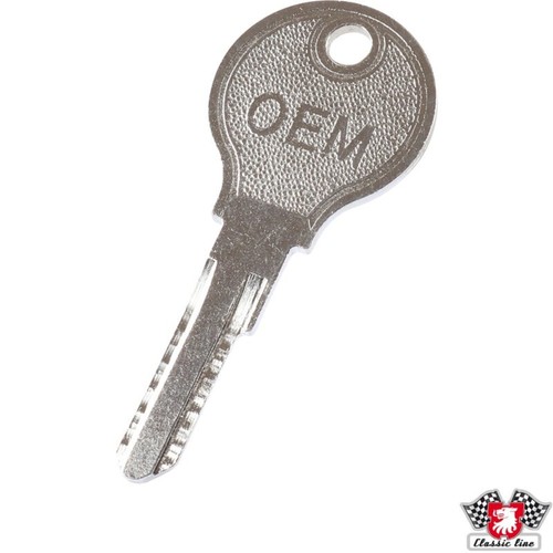 Key for beetle - beetle, carocha