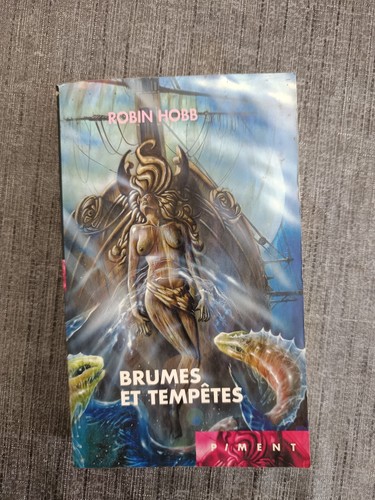 Brumes tempêtes robin - brumes,