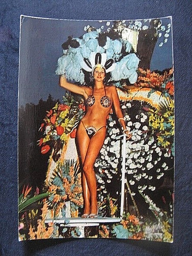 0346 cpsm nice carnaval - ,