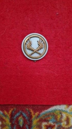 Insigne béret service des - service,