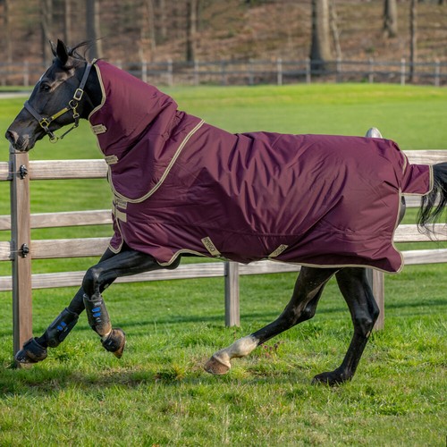 Horseware amigo hero - amigo,