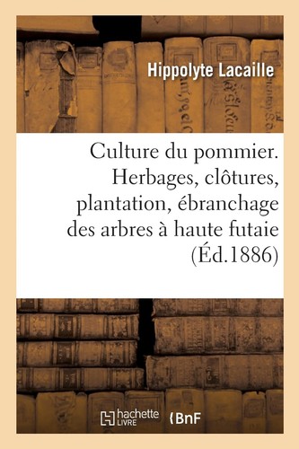 Hippolyte lacai culture - hippolyte,