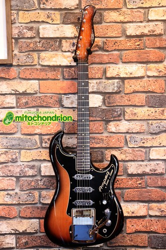 Burns 1960 ampeg wild dog - burns, /