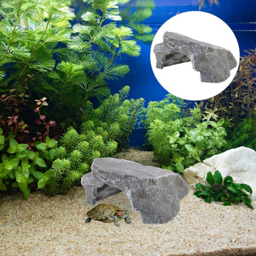 Décor terrarium résine - terrarium, en