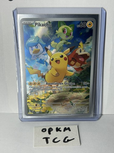 Carte pokémon pikachu - carte, fr