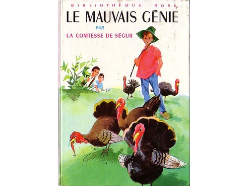 Livre mauvais génie - le,