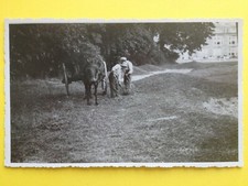 Old postcard PHOTO FRANCE HORSE CARRETTE HAY CASTLE