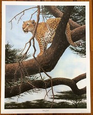 Vintage 1977 Harry Artis SIGNED Limited Edition Leopard Domain Big Cat 29" Print