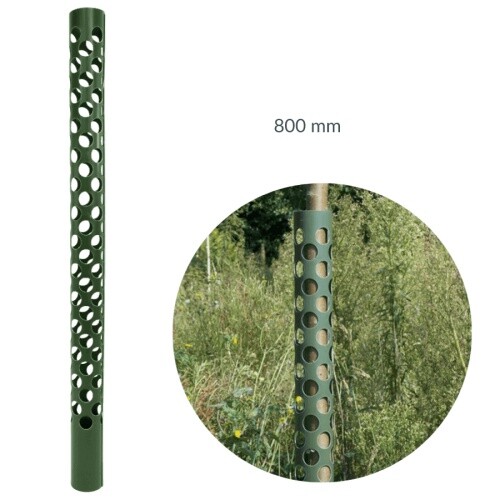 Protection arbre - protection, d'arbre