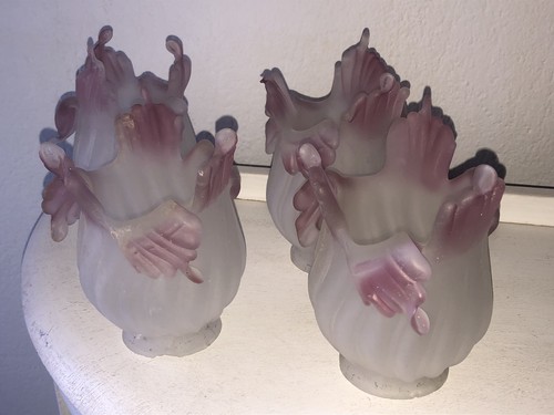 Superbes tulipes pétales - superbes, 6