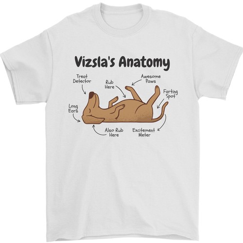 Anatomie drôle chien - drôle, du