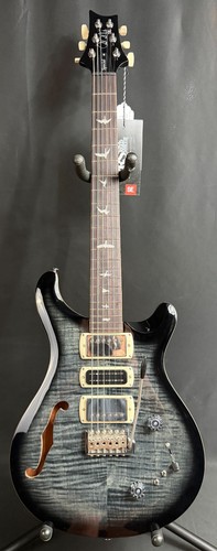 Prs special semi hollow - special, semi-hollow