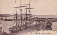 🦬Carte Postale / Postcard /