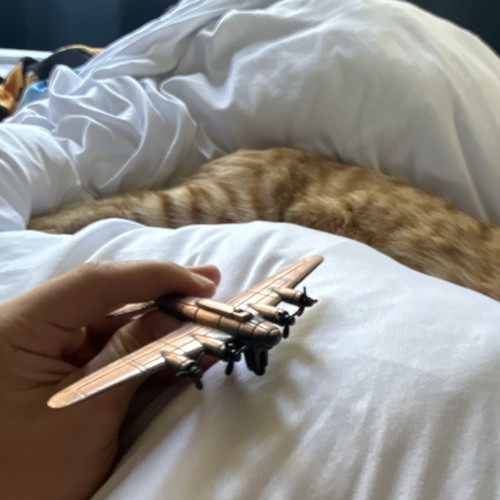 Fait main avion miniature - main, à