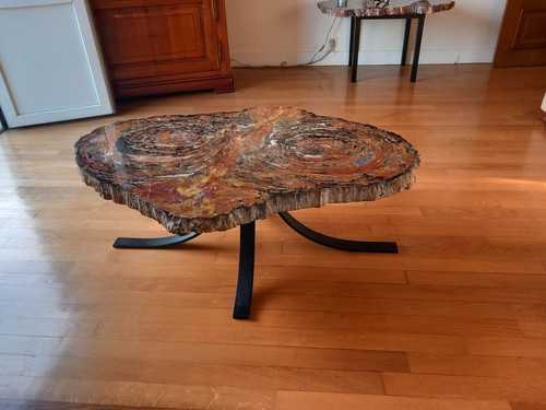 Bois fossilisé araucaria à - fossilisé,