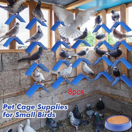 Accessoires pour pigeons - d'accessoires,