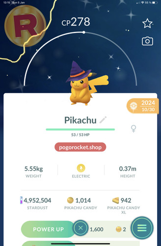 Shiny pikachu witch hat - shiny,