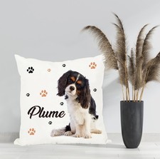 Coussin chien Cavalier king