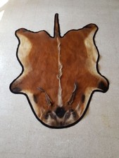 Red River Hog Potamochere Skin Rug - Skin, Potamochoerus Porcus