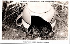 Real Photo Postcard Ontario Sebright Thompson's Lodge Frogs Broken Pot 1940s K75