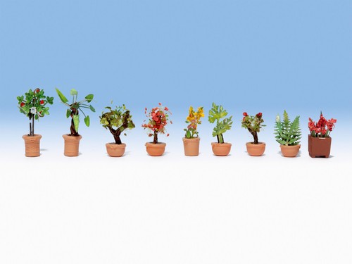 Noch set flowers in - flowers, pots