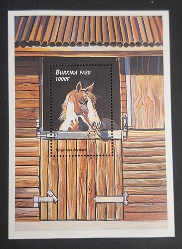 Burkina faso 1999 195 - faso, mi.
