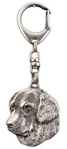 Golden retriever porte - retriever,