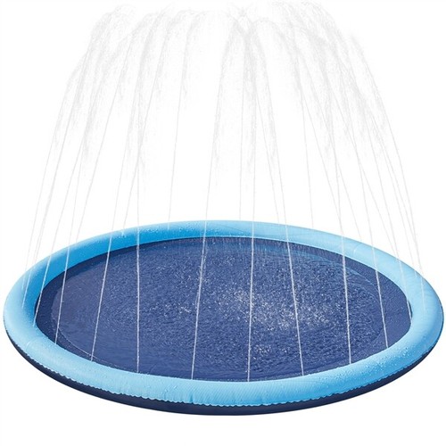 Piscine pour chien - chien, à