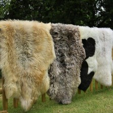 Peau de Mouton Anglais