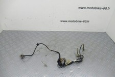 Faisceau electrique Yamaha TTR