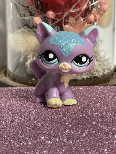 Petshop chat maine - 🌸petshop, coon