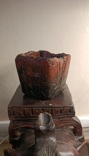 pot caudex bonsaï succulente