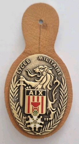 Insigne pucelle du lycée - insigne,