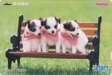 JAPAN CARD - ANIMAL - BUTTERFLY SPANIEL DOG - SPANIEL DOG JAPAN Kansai card