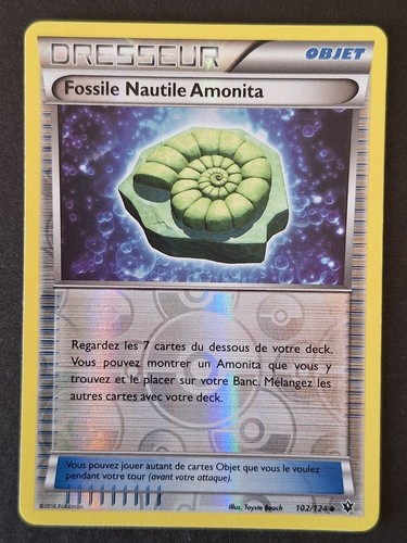 Fossile nautile amonita - nautile,