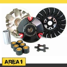 Variateur + Poulie Naraku Rex