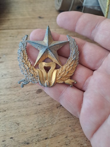 Rare insigne kepi intendance - rare,
