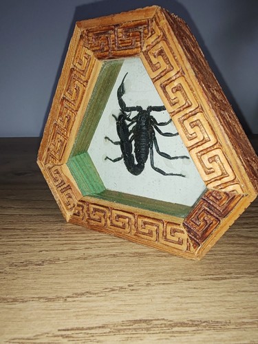 Jolis petite vitrine scorpion - jolis,