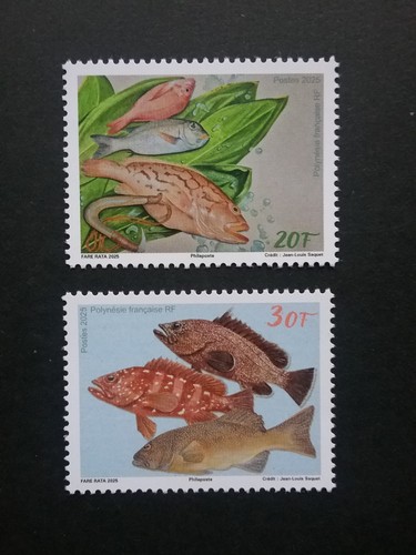 Polynesie 2025 poissons hors - poissons,