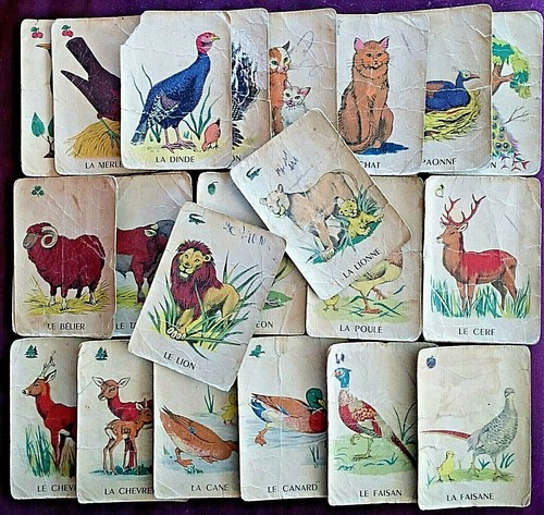 Ancien jeu cartes animaux - ancien,
