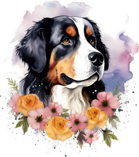 7 x autocollants de voiture