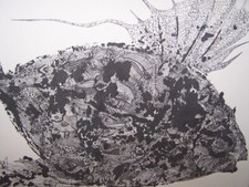 Signed Coffee Table - Design 60 - 70