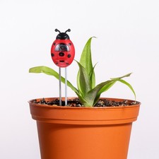 Testeur de sol , type pointeur, multifonctionnel, pH hygromètre pour