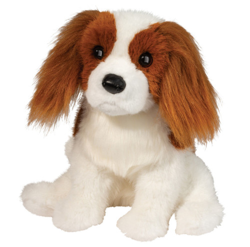 Kingsley king charles - kingsley,