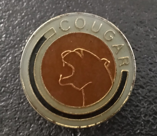 Pin auto collection - auto, logo