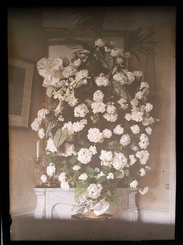 Photographie autochrome - photographie,