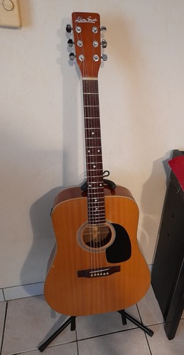 Guitare folk