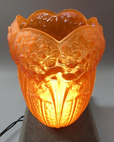 Tulipe hortensia hettier - tulipe,